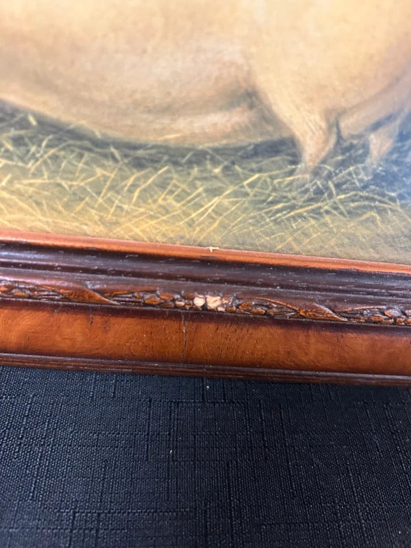 Vintage Three Prized Pigs Framed Print