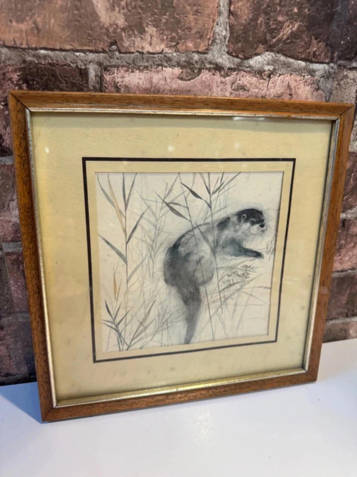 Vintage Mads Stage 1970s Framed Animal Drawing Sketch