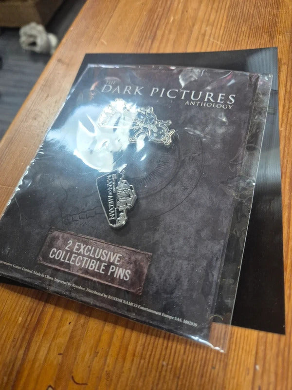The dark pictures pins