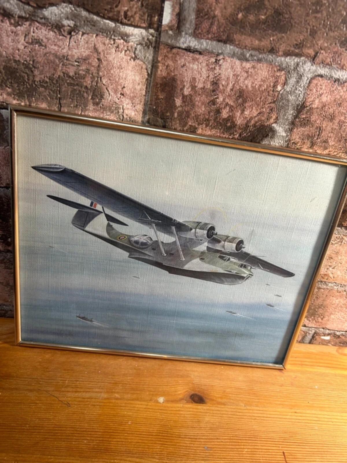Catalina Plane Framed Print