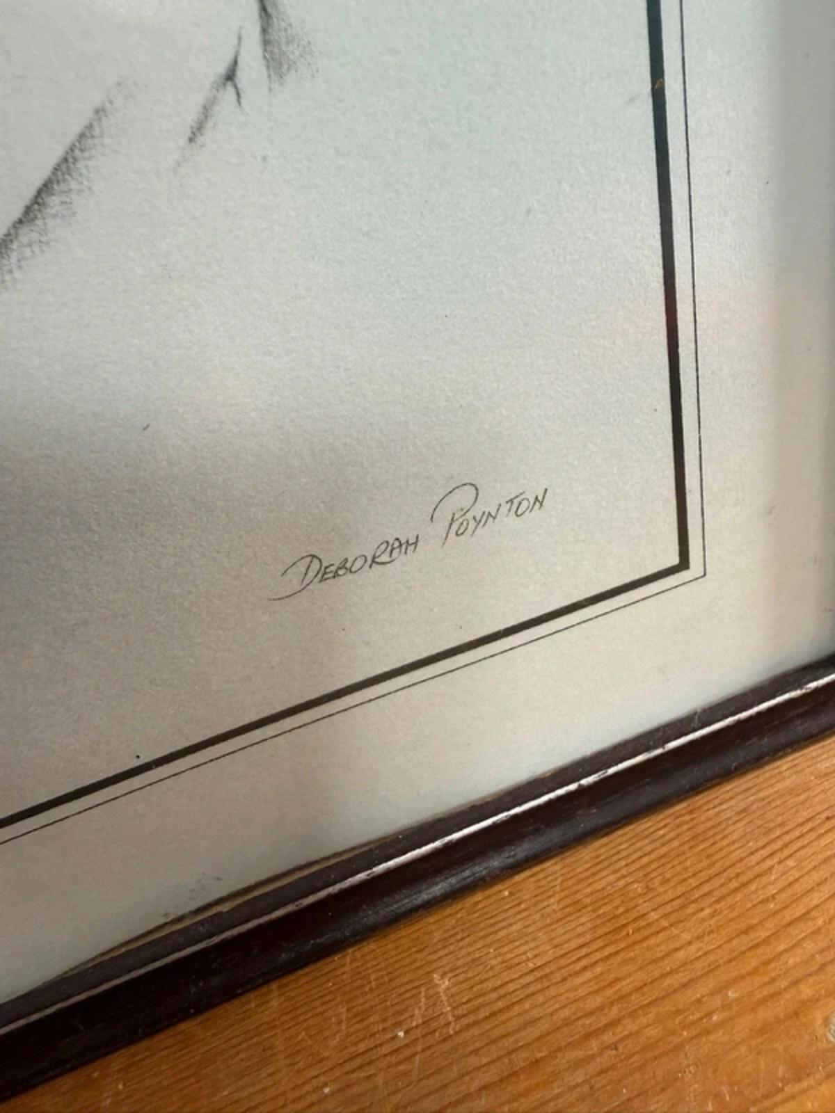 Deborah Poynton cat print