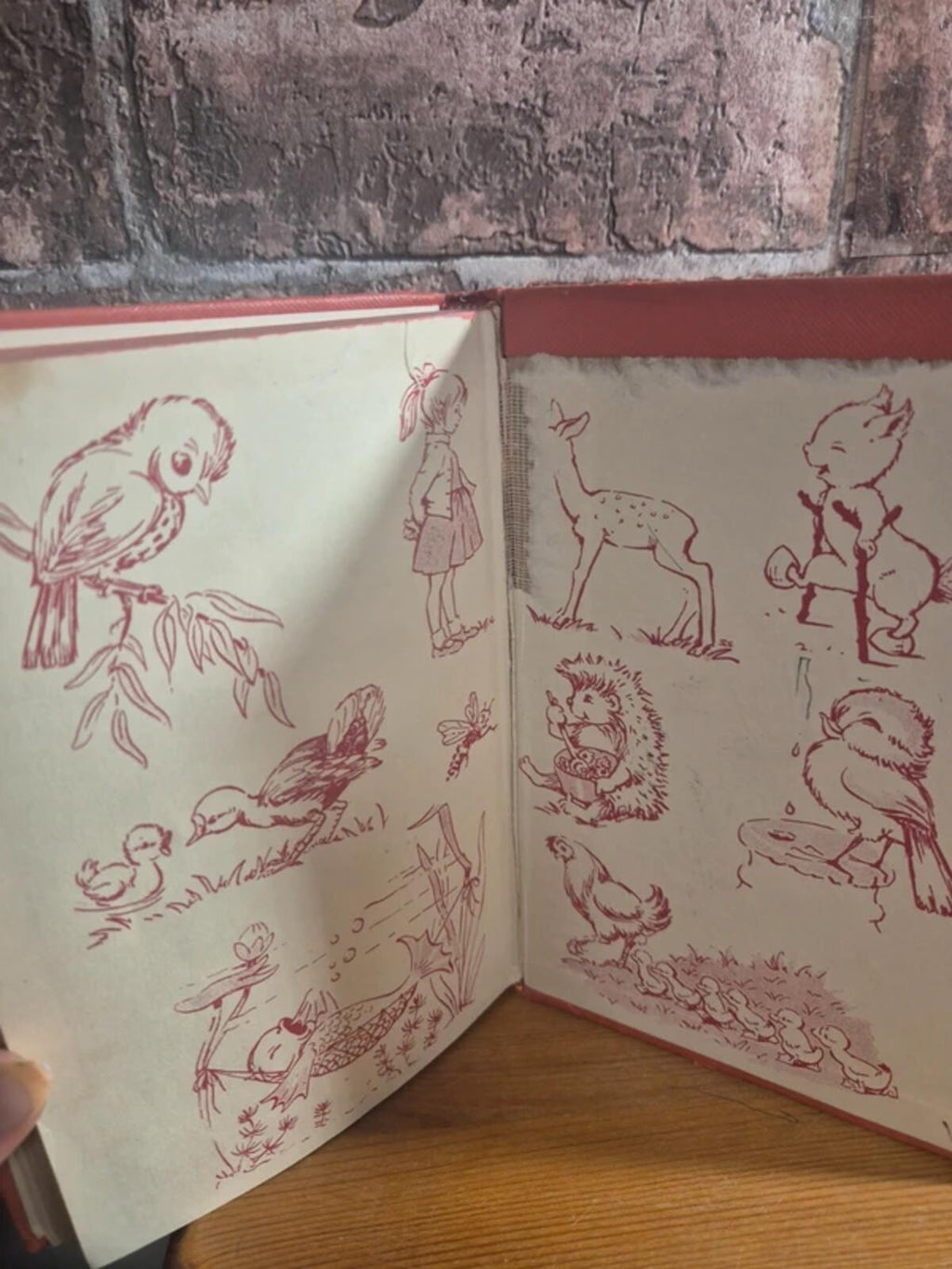 A Robin Story Book