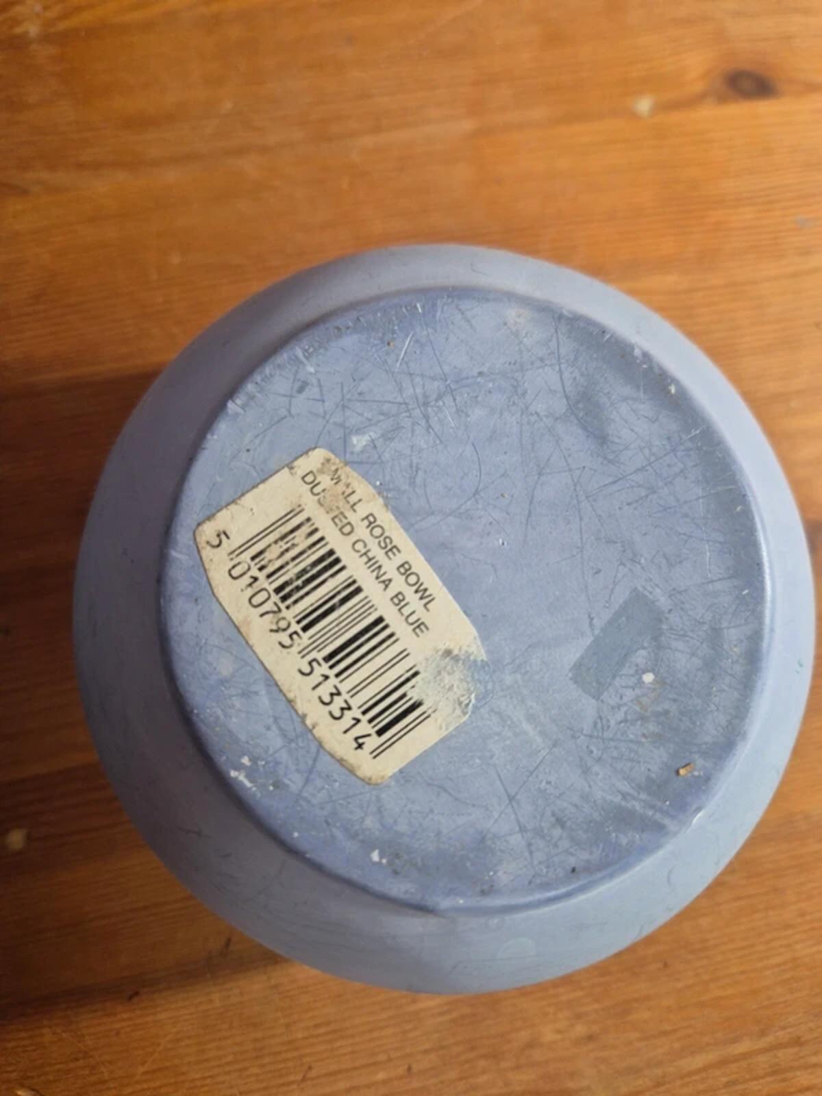 Rose bowl blue pot