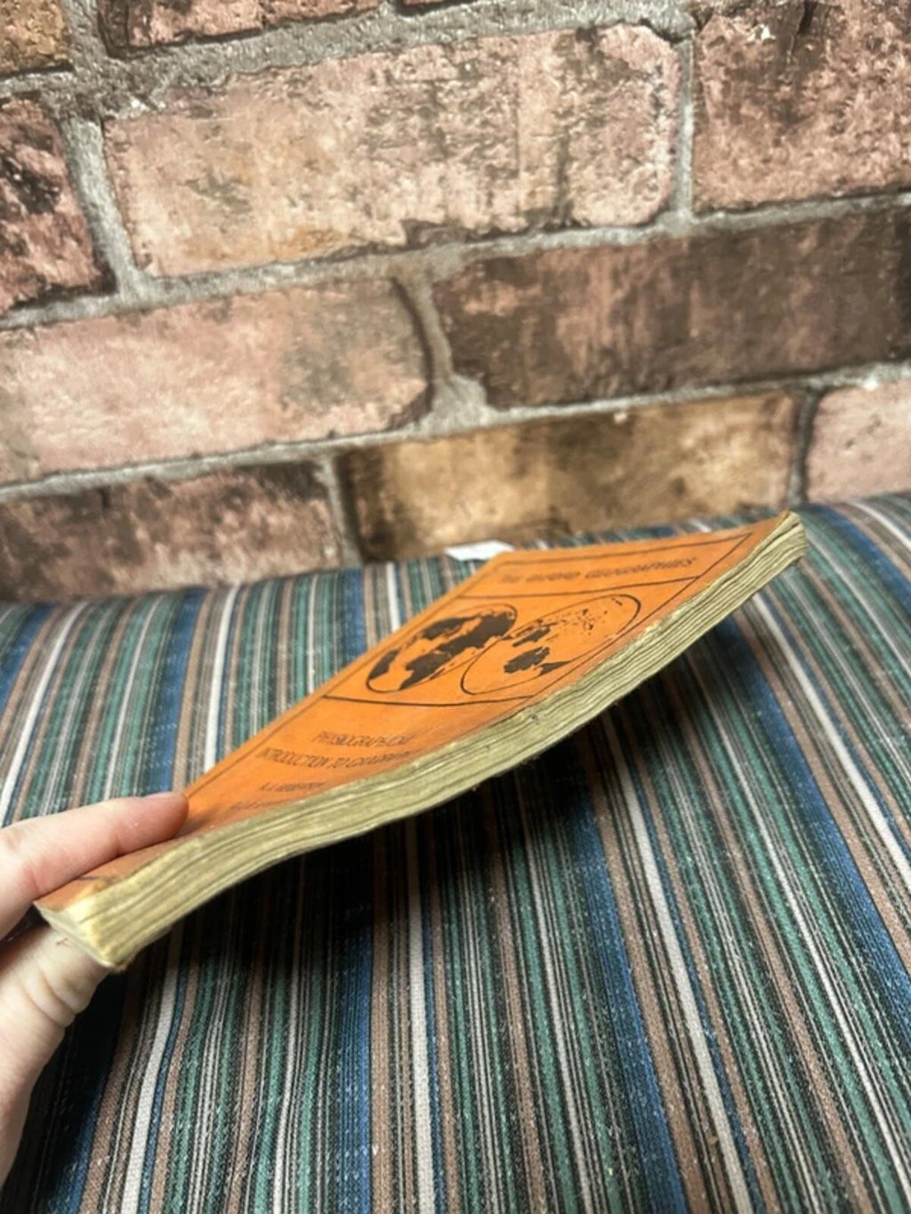 Intro to Geography Vintage Orange Book