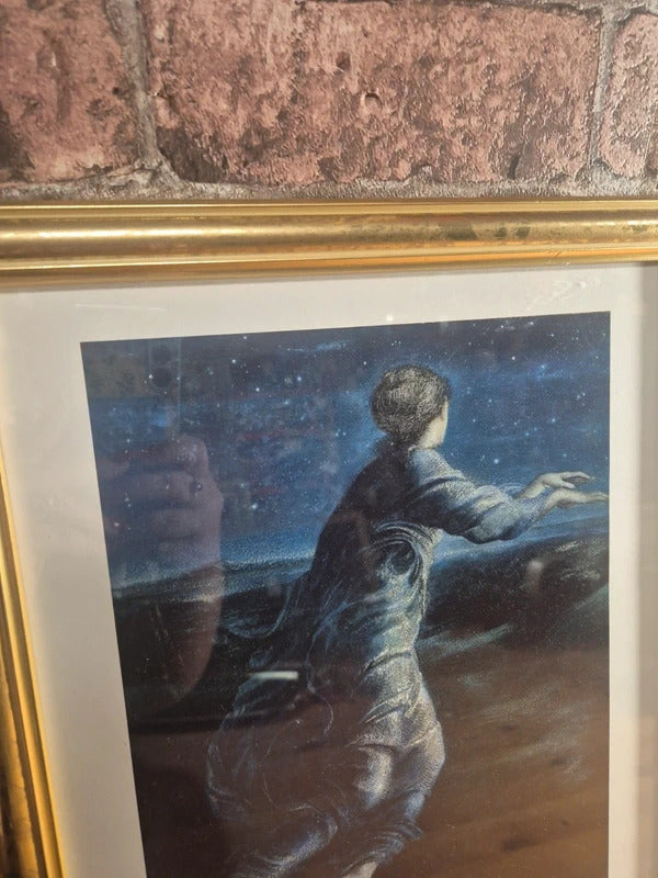 'Night sir' framed print
