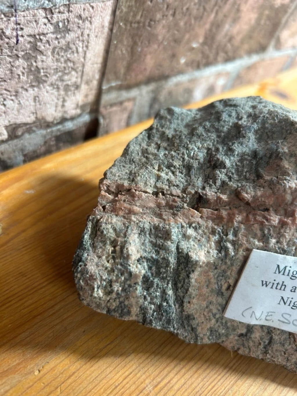 Migmatised Gneiss from Scotland