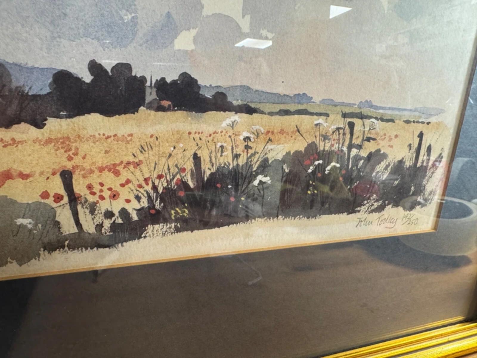 John Tooley Signed and Framed Watercolour