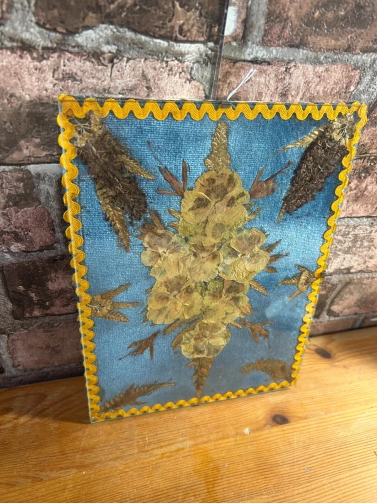 Vintage Pressed Dried Flowers in Clip in Frame