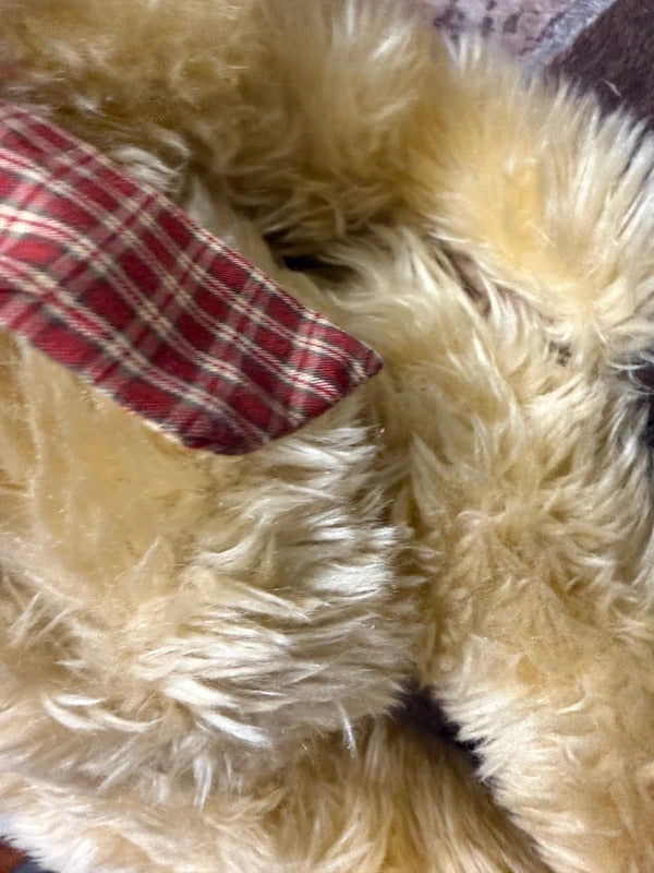 Metro Soft Toy Teddy 'Cameron'